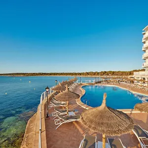 book here